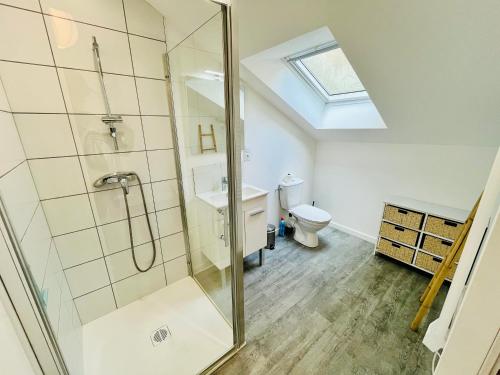 une salle de bain avec douche et toilettes dans l'établissement 2 suites, cour privée, climatisation, Le nid de Blois Vienne, à Blois