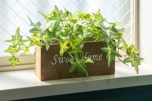 a potted plant sitting on a window sill at 1200IN&OUT 10people 75m2 8bed! Exclusive house Shinjuku 13 minutes Shibuya 19 minutesIkebukuro 8 minutes Ueno 9 minutes in Tokyo