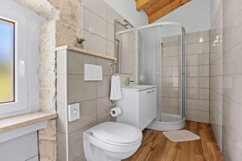 a white bathroom with a toilet and a shower at Villa Fuma up to 6 persons with private pool & sea view in Central Istria in Bale