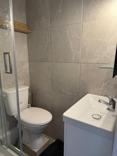 un bagno con un water e un lavandino di Studio du Vercors a Fontaine