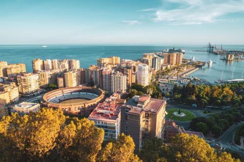 Urban Oasis in Historic Málaga