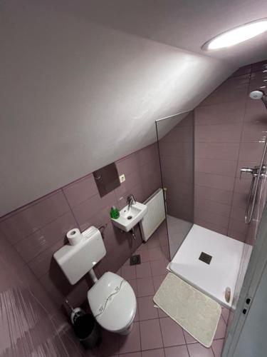 ドムジャレにあるLarisa apartmaのトイレと洗面台付きのバスルーム