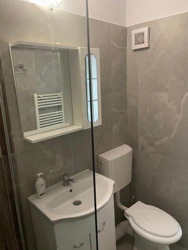a small bathroom with a toilet and a sink at Concept home Valcea in Râmnicu Vâlcea