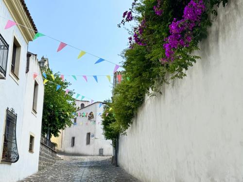 an alley in an old town with flags and flowers at Casa Lia - Independent apartment in the Gulf of Orosei in Galtellì