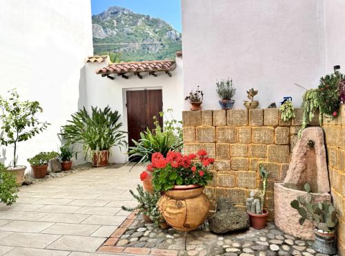 a courtyard with potted plants and a building at Casa Lia - Independent apartment in the Gulf of Orosei in Galtellì