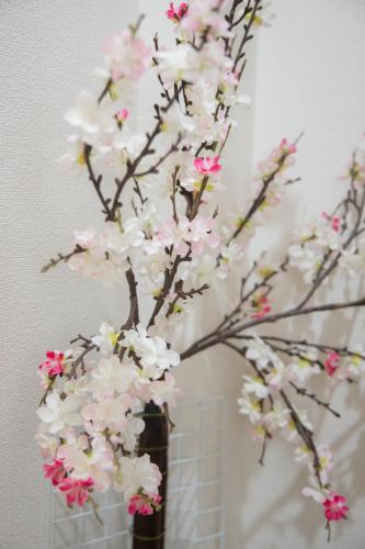 Imagen de la galería de Style Labお花茶屋2, en Tokio