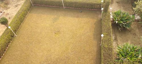an aerial view of a yard with plants at Madhusudan Farms in Govardhan