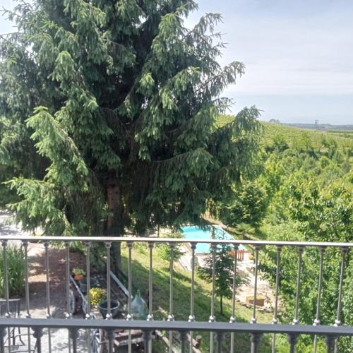 a view from the balcony of a tree and a pool at Agriturismo Bric di Gai in Monforte dʼAlba