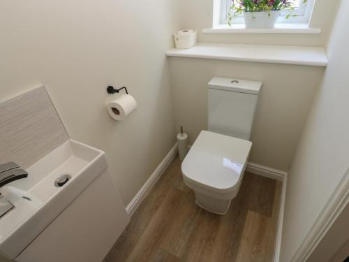Un baño blanco con inodoro y lavabo. en 5 Ashcroft Mews, en Seaham