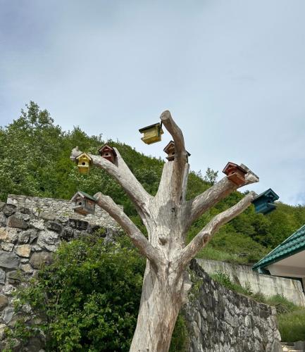 Fotografie z fotogalerie ubytování Auto Camp Brskut Montenegro v destinaci Brskut