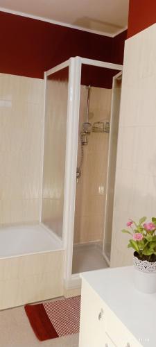 a bathroom with a shower and a sink at Casa Caterina - Riva di Solto - Iseo Lake in Riva di Solto