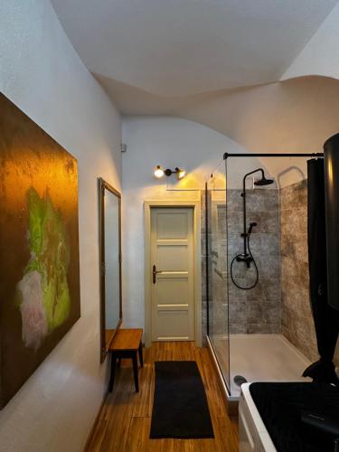 コシツェにあるJÖ apartmán, Mäsiarska , Súkromné parkovanieのバスルーム(シャワー、ガラス張りのシャワーブース付)