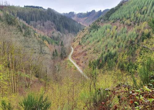 a view of a winding road in a forested mountain at Gîte Au Val de Belvâ in Malmedy