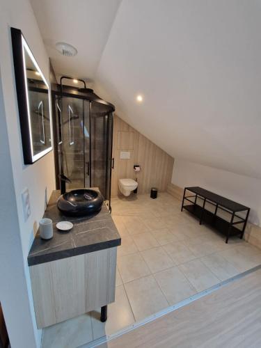 La grande salle de bains est pourvue d'une douche et de toilettes. dans l'établissement Vercingetorix 6 #Confort, à Aubière