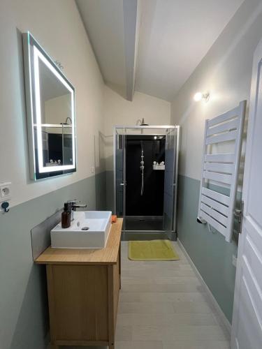 une salle de bain avec un lavabo et une douche dans l'établissement Maison 4 personnes au centre de Royat, à Royat