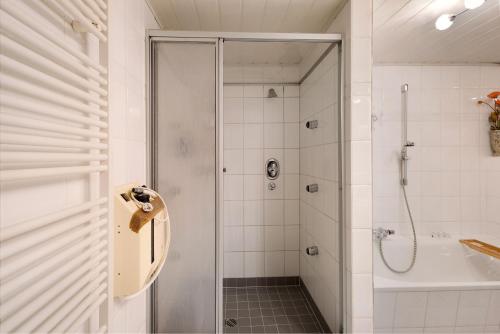 Bilik mandi di Ferienhaus Rita in Falkenburg