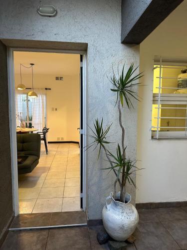a hallway with a vase with a plant in it at Departamento Sol Urbano in Rafaela
