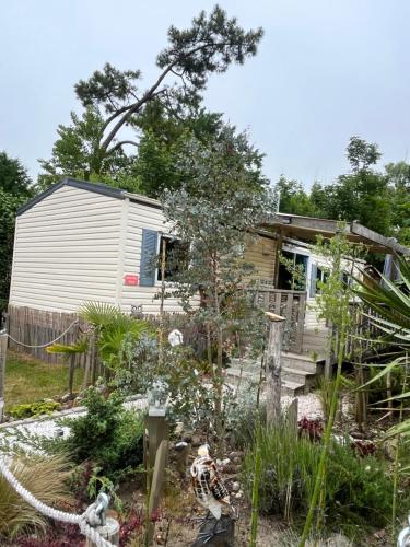 La Pinède Ensoleillée au Camping La Dune Blanche
