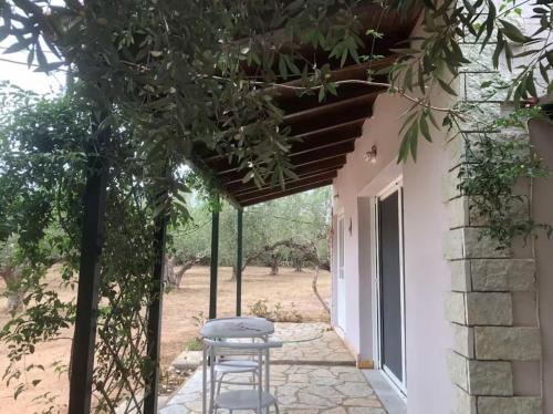 a patio with a table and a chair under a tree at Epicurus beach cottage in Kánalos