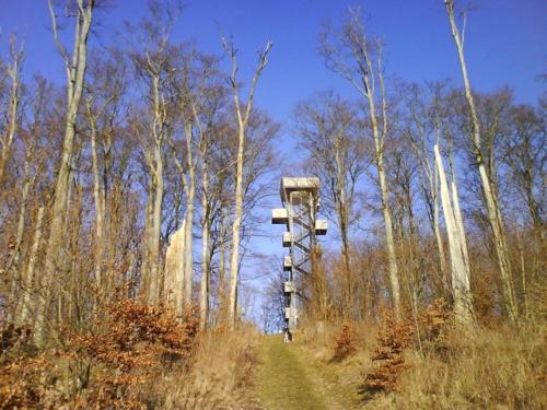a wooden lookout tower in the middle of a forest at Gasthof Postkutsche in Motten