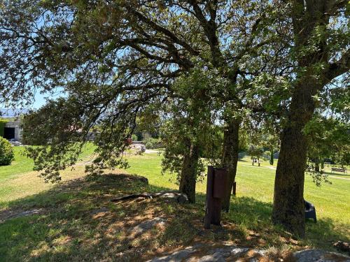 a tree in a field with a sign under it at casa rural de un artista en plena naturaleza piscina y parque de esculturas en villarcayo in Villarcayo