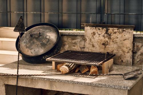 una griglia, una padella e dei ceppi su un bancone di Villa Aurea Murter a Murter
