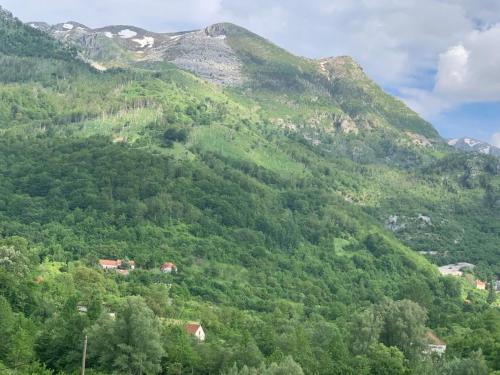 Příroda nedaleko apartmánu
