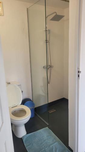 a bathroom with a toilet and a glass shower at Tofo Beach Gardens in Inhambane