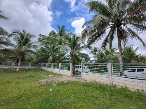 a fence with palm trees in a field at The Red Roof in Batuan