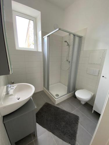 a bathroom with a shower and a sink and a toilet at FEWO Tribseerdamm in Stralsund