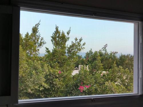 ein Fenster mit Blick auf Bäume und rosa Blumen in der Unterkunft Studios in lighthouse in Dahab