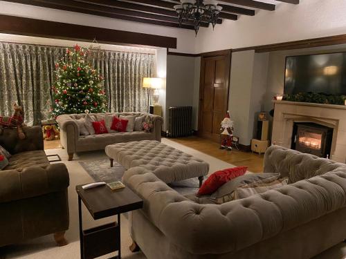 a living room with a christmas tree and couches at Greenacres Hall in Disley