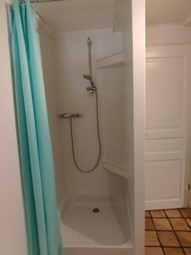 une salle de bain avec une douche avec un rideau de douche dans l'établissement Splendide villa en pleine nature avec SPA proche lac, et océan, à Sainte-Hélène