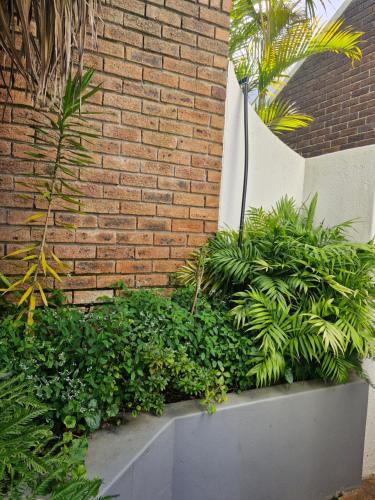 a garden with green plants in a brick wall at Mountain Rose Cottage in Bellville