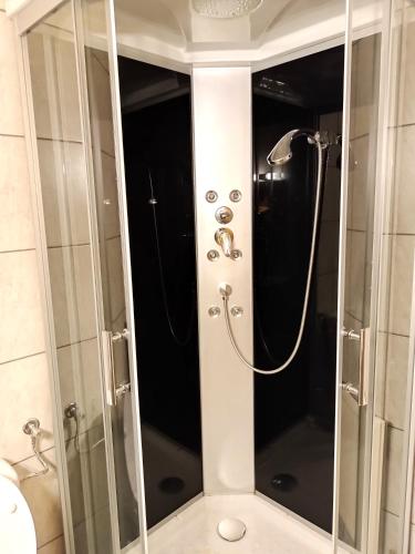 a shower with a glass door in a bathroom at Hotel - Apart Zemlinski in Payerbach