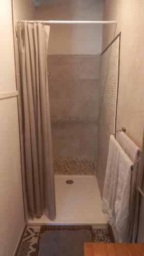 une douche avec un rideau de douche dans une salle de bain dans l'établissement Ferme La Petite Verte, à Saint-Pierre-de-Frugie