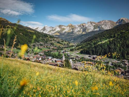 Charmant Studio Montagnard avec Accès Bien-Être, Proche des Pistes de Ski au Grand-Bornand - FR-1-467-35