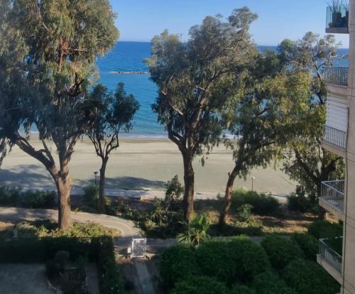 Beachfront Luxury Apartment