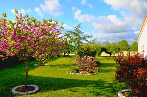 a garden with trees with pink flowers in a yard at Villa DES COEURS NORMANDS in Pirou
