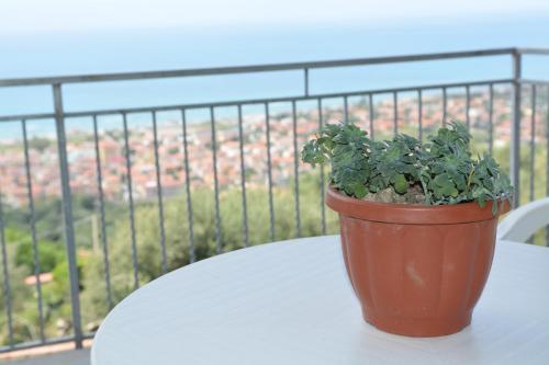 a potted plant sitting on a table on a balcony at B&B Miramare in Ascea