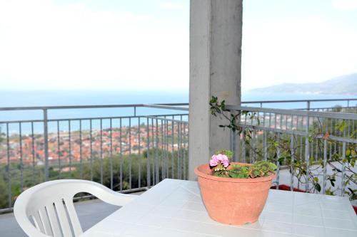 a potted plant sitting on a table on a balcony at B&B Miramare in Ascea