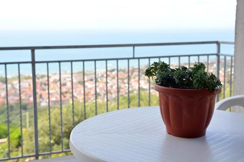 a potted plant sitting on a table on a balcony at B&B Miramare in Ascea