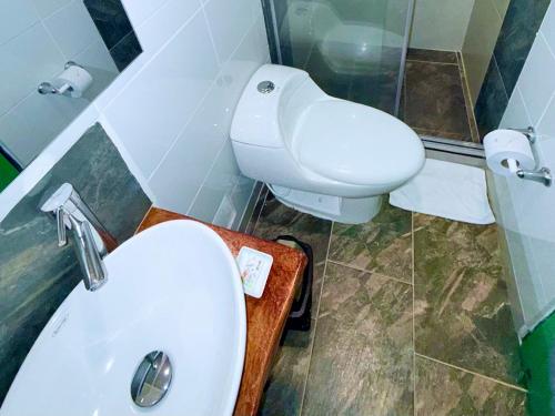 a bathroom with a white sink and a toilet at Hotel Salento Mirador in Salento
