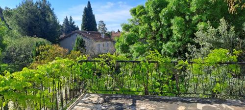 - une vue sur le jardin à travers une clôture dans l'établissement Les loups blancs en Provence, à Pélissanne