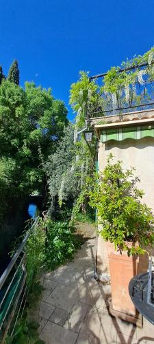 un patio avec des plantes sur le côté d'un bâtiment dans l'établissement Les loups blancs en Provence, à Pélissanne