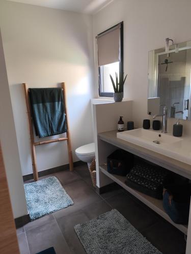 une salle de bain avec un lavabo, des toilettes et un miroir dans l'établissement Maison Balaguera, à Saint-Jean-de-Marsacq