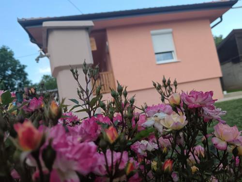 Ein Garten an der Unterkunft Apartmani Stojković Vrdnik