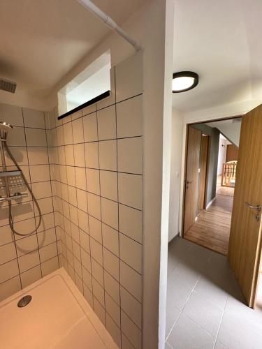a bathroom with a walk in shower and a mirror at Le 16 du Bout du Monde in Cléden-Cap-Sizun