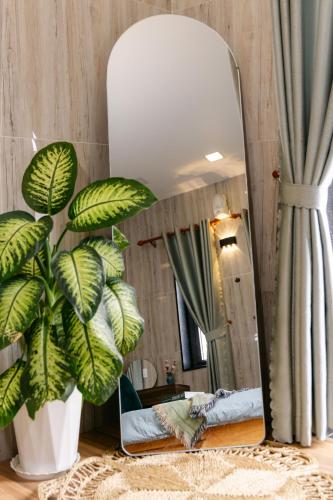 a mirror in a room with a plant at FREELANCE - Huy Ngân Villa in Da Lat