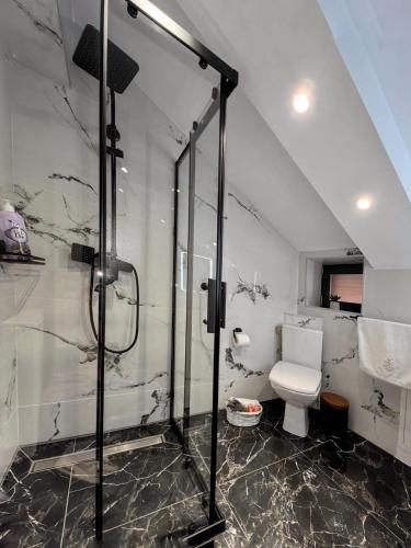 a bathroom with a shower and a toilet at Cold River Resort in Dorna Arini